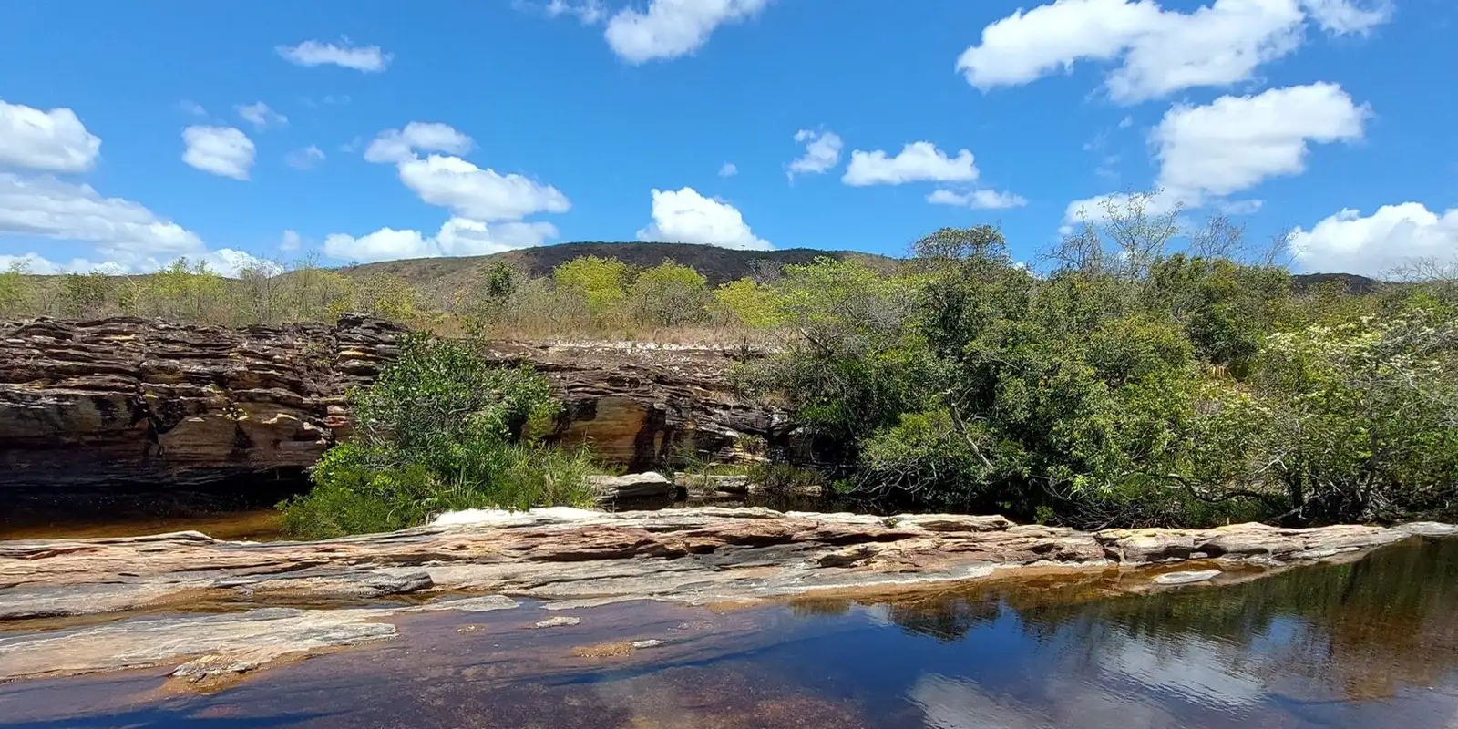 Cinco biomas sustentam o Pantanal diante das mudanças climáticas