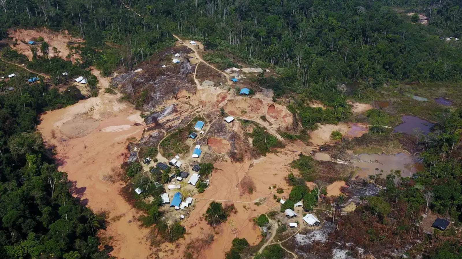 Desmatamento pressiona terras indígenas: Amazonas tem 4 entre as 10 mais afetadas