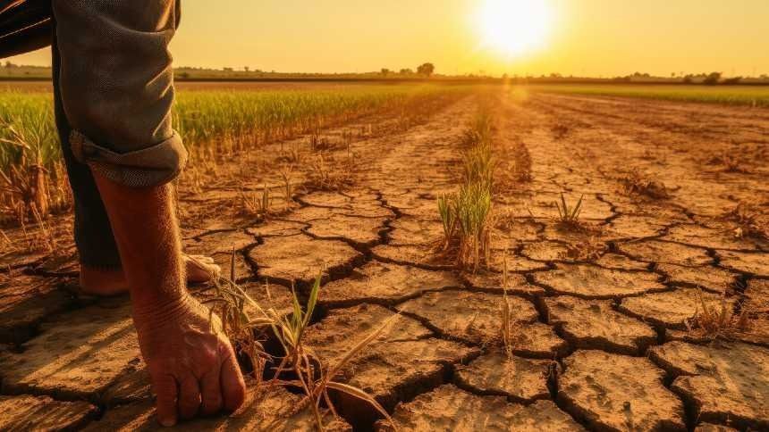 El Niño ameaça agravar insegurança alimentar para 49 milhões até 2027
