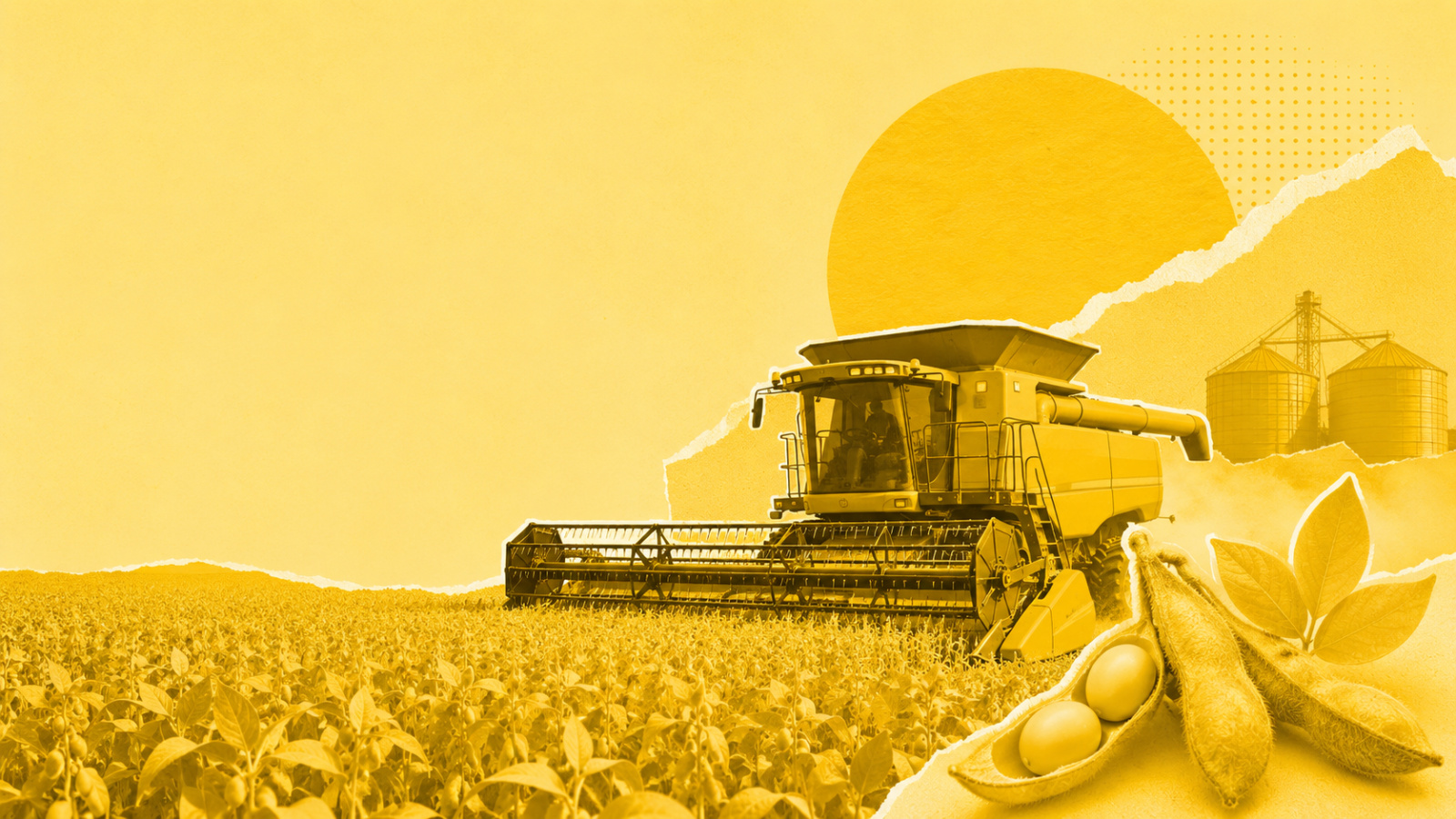 Empresários brasileiros sondam 30 milhões ha agrícolas em Angola