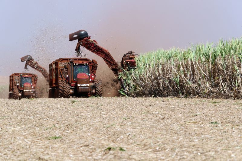 Governo libera subvenção de R$12/ton para canavicultores do Nordeste