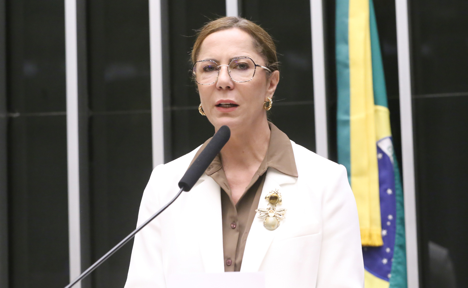 Katarina apresenta plano para agilizar diagnóstico da endometriose