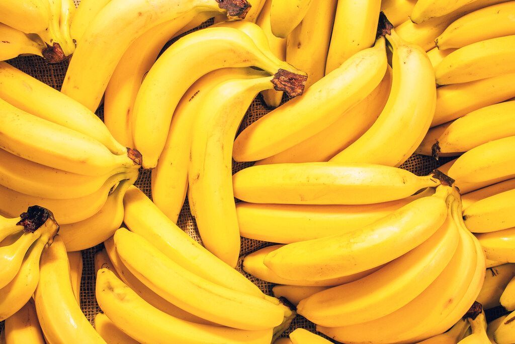Piloto da Yara e Bananas Corrêa reduz carbono na produção de bananas