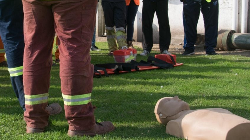 PL 916/2026 exige manequins femininos e masculinos em treinamentos