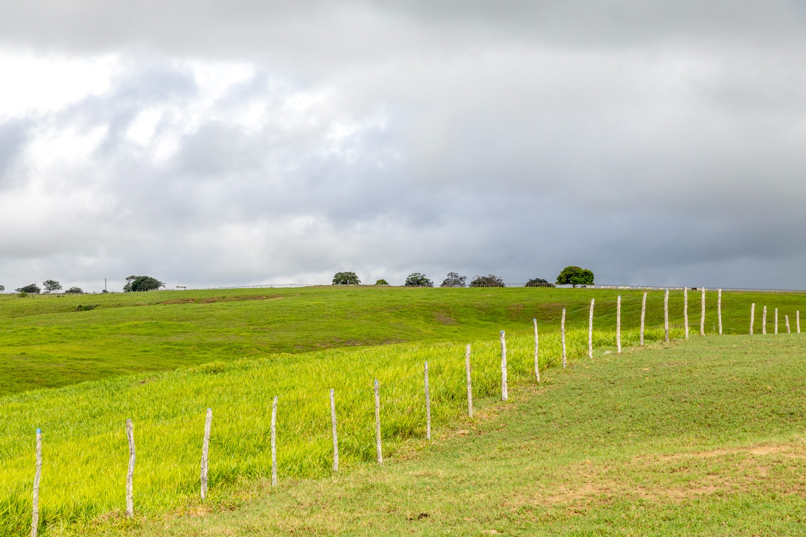 Prepare-se: chuva fraca na sexta e domingo; sábado seco em Sergipe