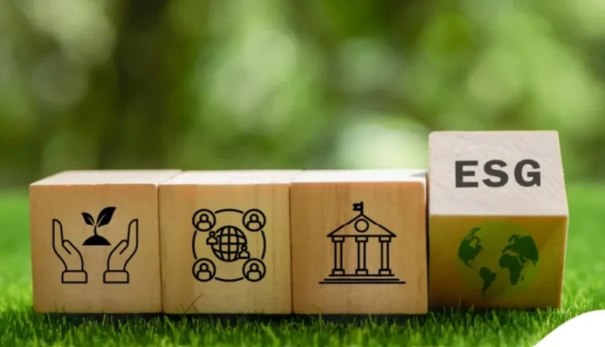 Selo ESG do Sebrae amplia visibilidade e valoriza pequenos negócios