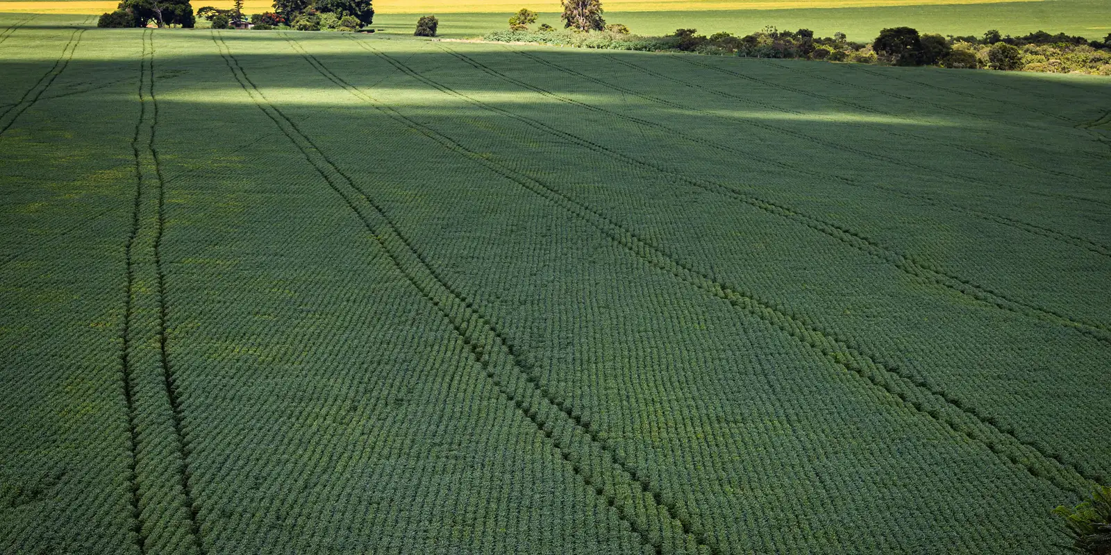 Senado aprova Profert com incentivos para fortalecer indústria de fertilizantes