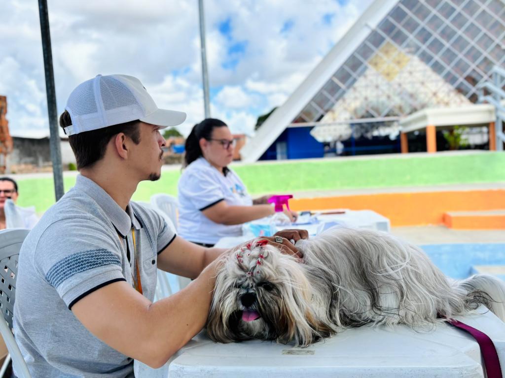 Tamo Junto Aracaju completa um ano com ações ambientais e proteção animal