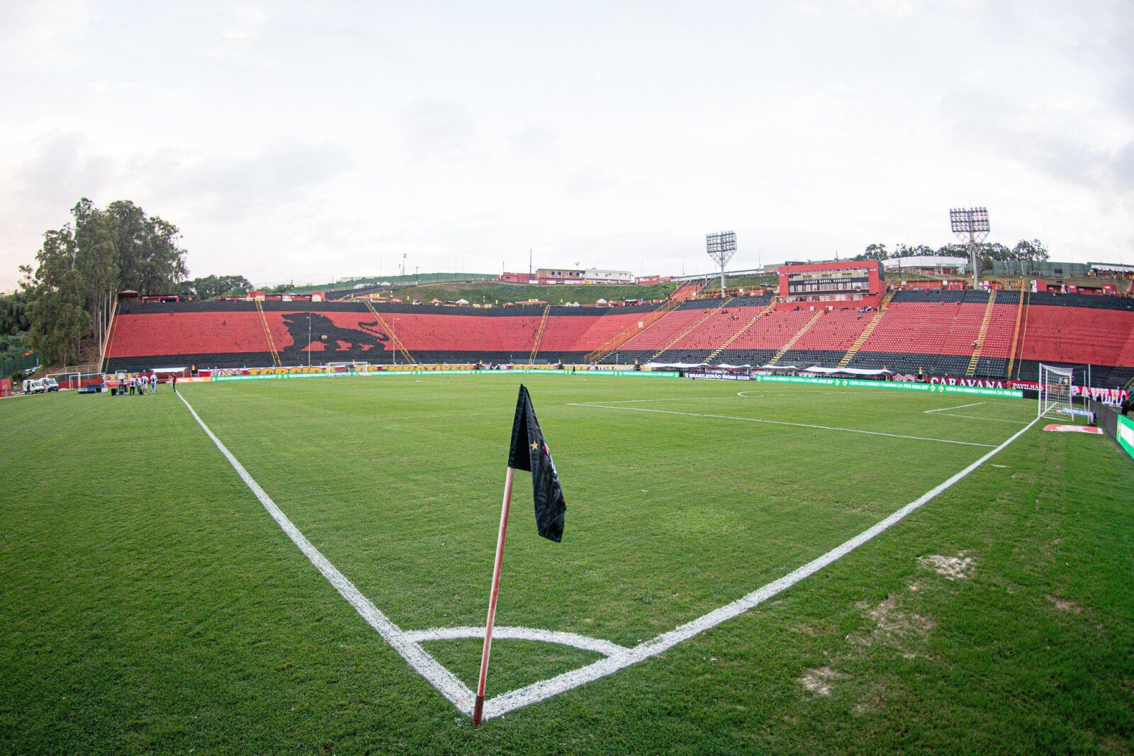 Vitória x Botafogo: Leão recebe o Glorioso no Barradão