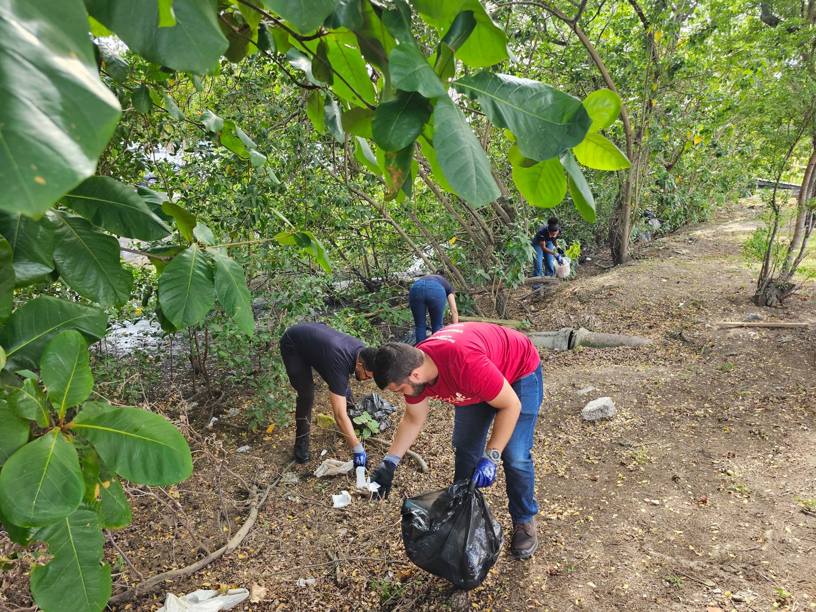Iguá Sergipe realiza ação de limpeza em área de manguezal na capital sergipana