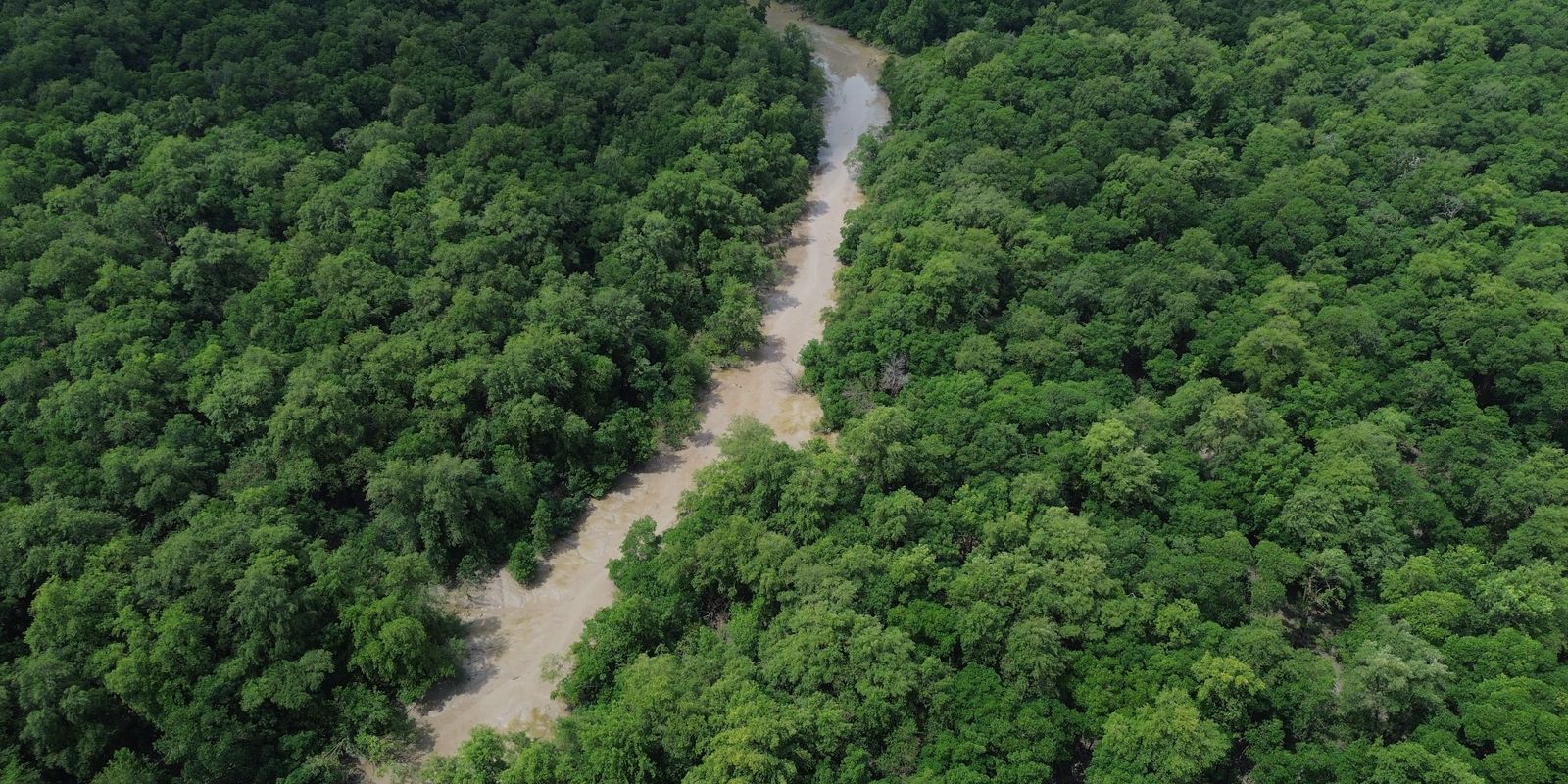 Campanha 'Cada voto pela Amazônia' mobiliza eleitores a 30 dias da eleição