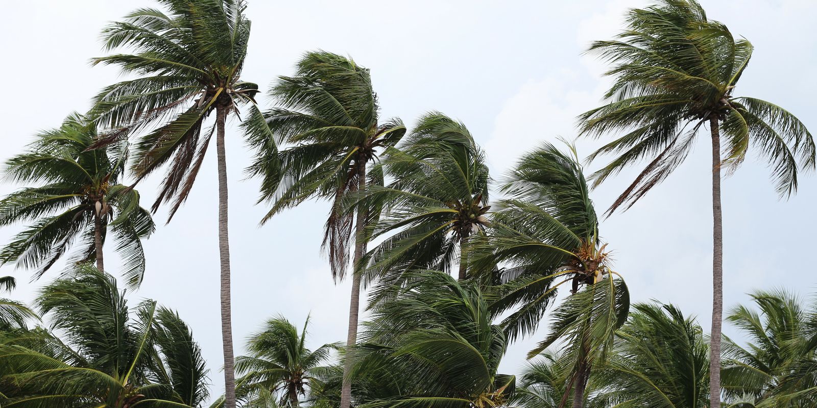 Frente fria provoca ventos fortes e chuva no Rio; fique atento