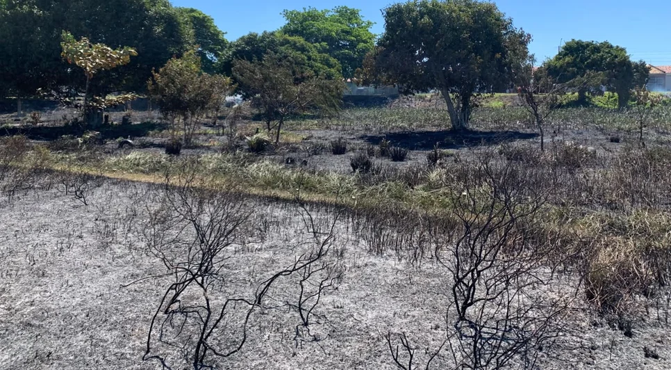 Queima irregular de lixo provoca incêndio em área de vegetação no Marcos Freire II, em Socorro