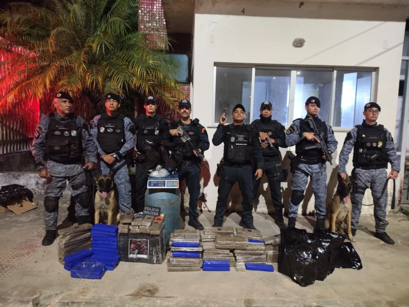 Apreensão de Peso: Denúncia leva Polícia Militar a localizar 133 kg de maconha escondidos na mata em Laranjeiras