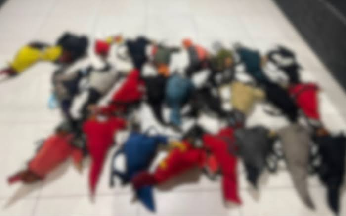 Polícia apreende 26 Galos e prende suspeito de promover Rinha em Neópolis