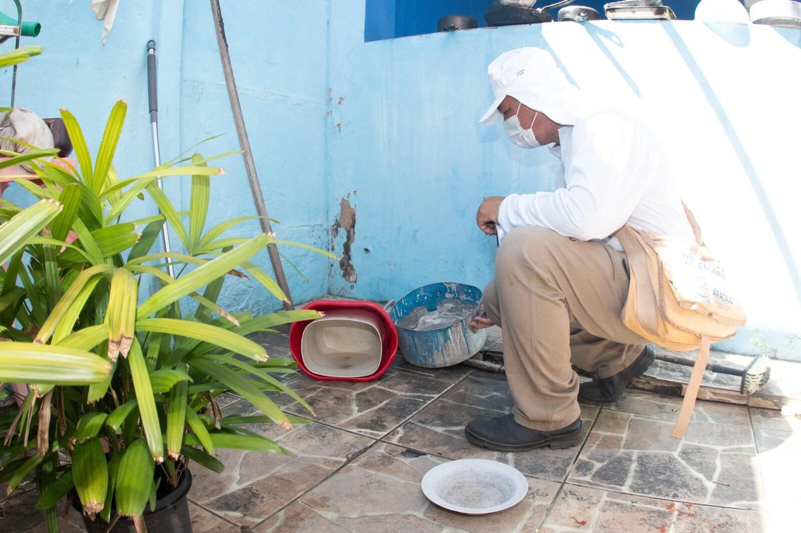 Nossa Senhora da Glória registra alto índice de infestação pelo Aedes aegypti em Sergipe