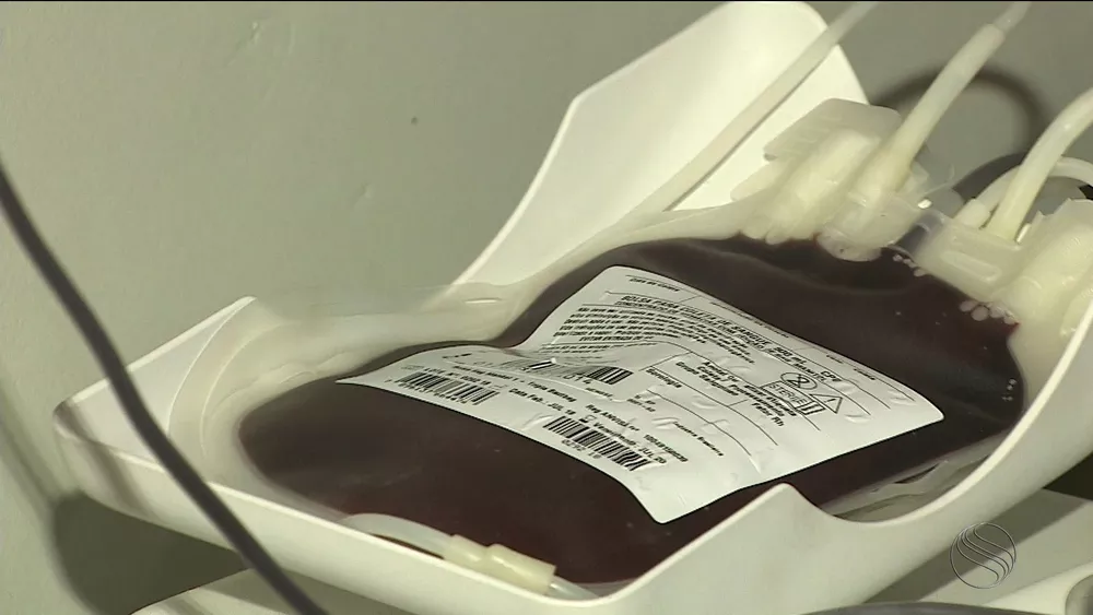 Prazos menores após tatuagem e endoscopia ampliam perfil de doadores de sangue em Sergipe