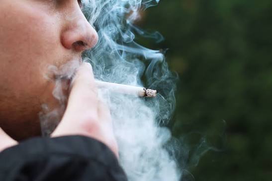 Lei Antifumo mudou relação entre liberdade individual e direito coletivo à saúde 