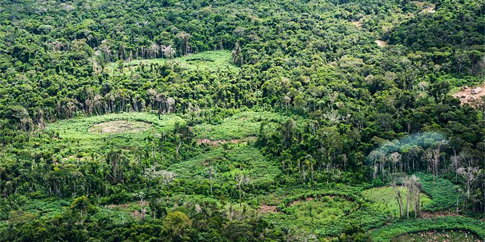 Indígenas lideram restauração de terras na Amazônia para proteger nascentes