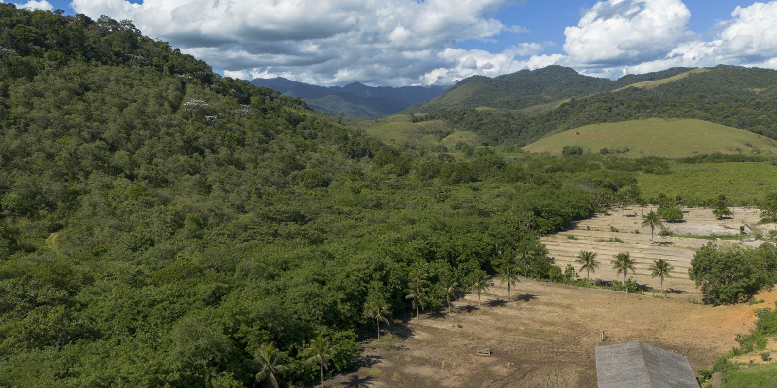 MapBiomas: agricultura cresce 11 mi ha; Mata Atlântica perde 9,7 mi ha