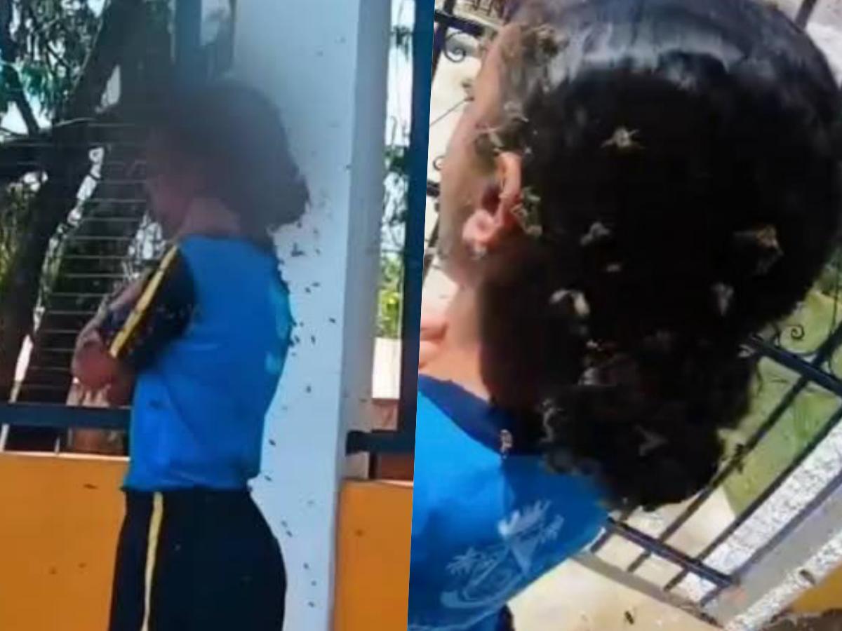 Motoboy salva menina de 12 anos e leva cerca de 40 picadas de abelhas
