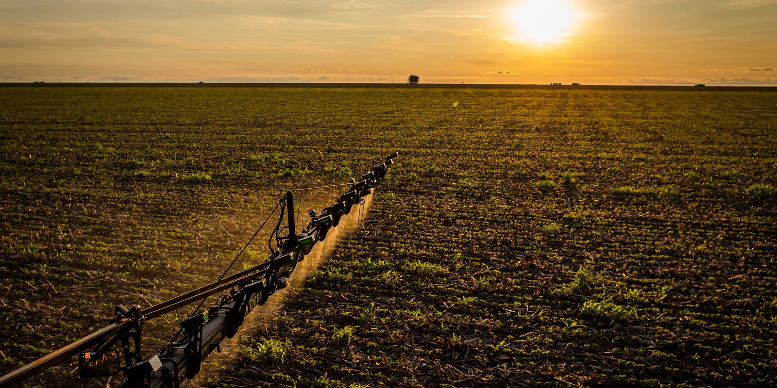 Nova lei amplia seguro rural e agiliza pagamento de indenizações