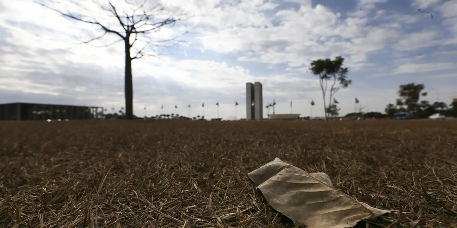 ONU avisa: aquecimento acima de 1,5°C vai agravar secas, saúde e economia