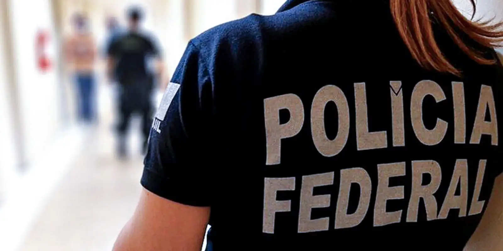 PF cumpre 20 mandados e apreende fuzis em operação contra fraudes de registro