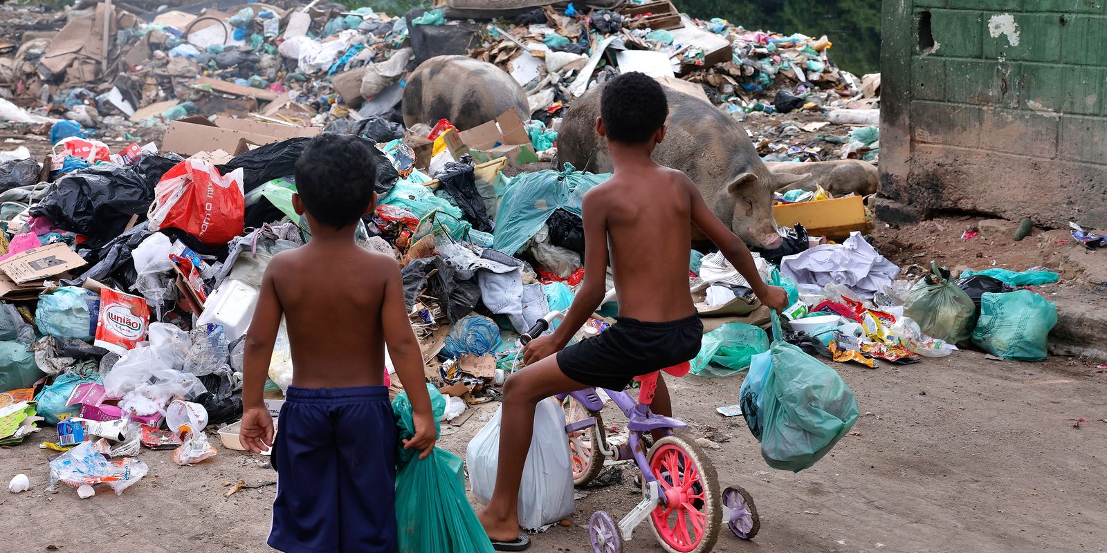Senado aprova ECA Ambiental que assegura prioridade das crianças ao meio ambiente