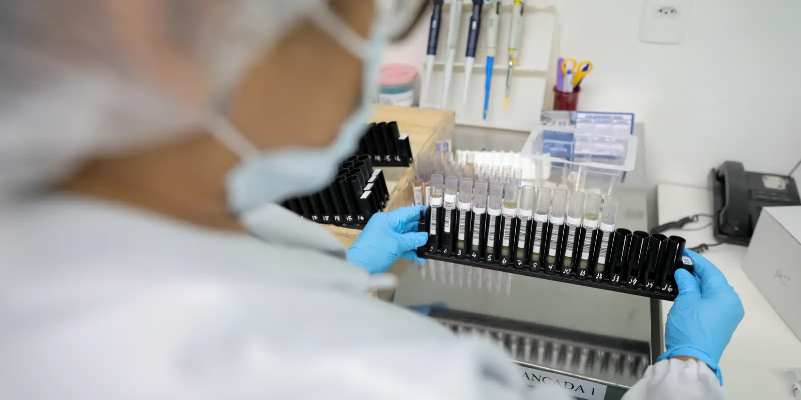 Anvisa libera testes clínicos da Vivaxin, vacina brasileira contra malária
