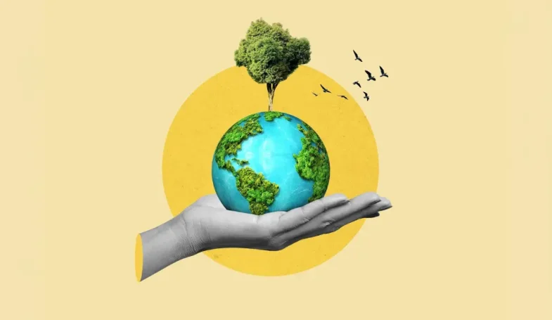 Aprenda de graça: 5 cursos online para empreender na economia verde