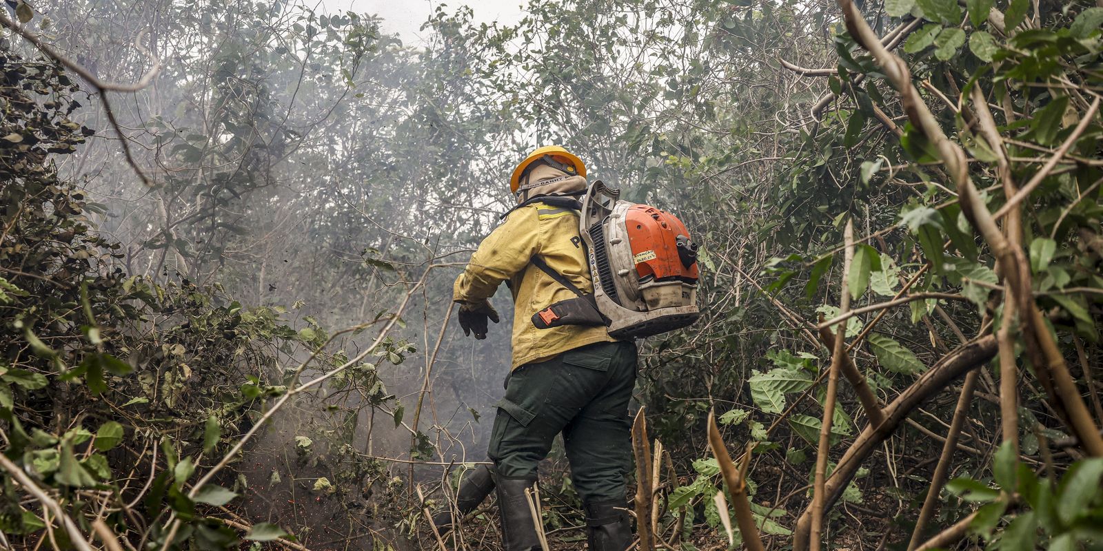 Capobianco culpa ação humana por explosão de incêndios no Amazonas
