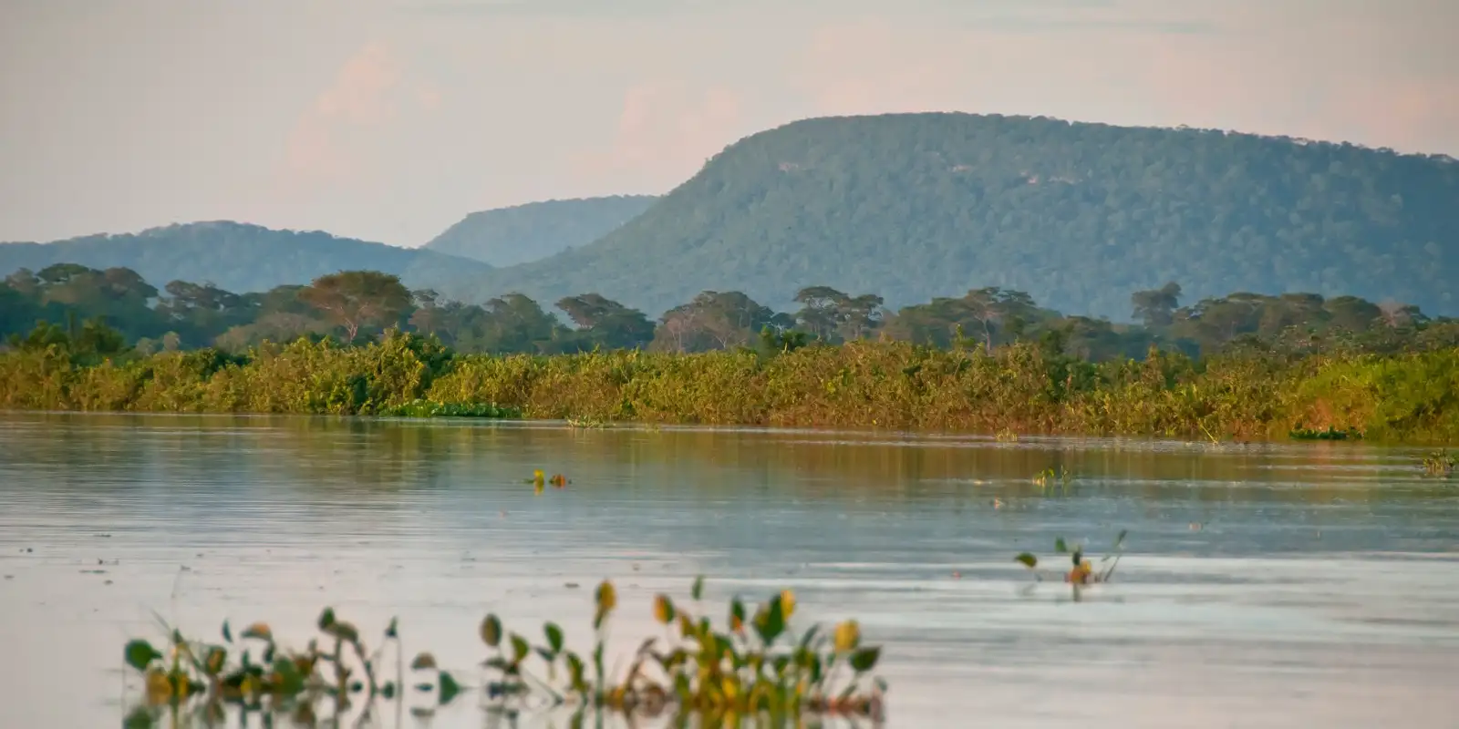 Desmatamento nas margens de rios do Cerrado elimina 13,9 milhões de hectares