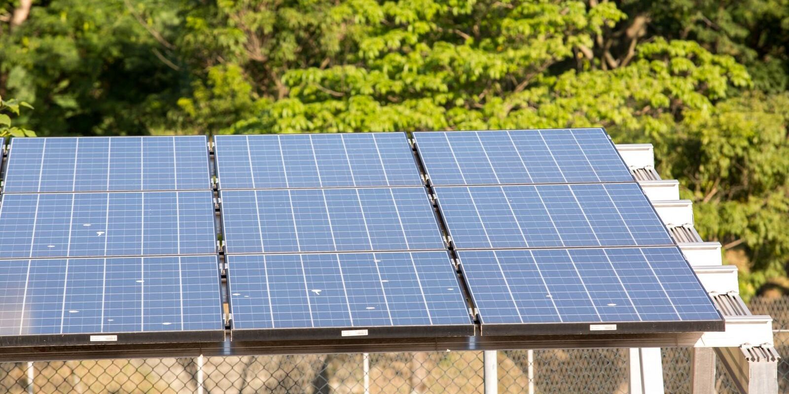 Eco Invest valida R$ 49,95 bi para investimentos verdes em seis cadeias