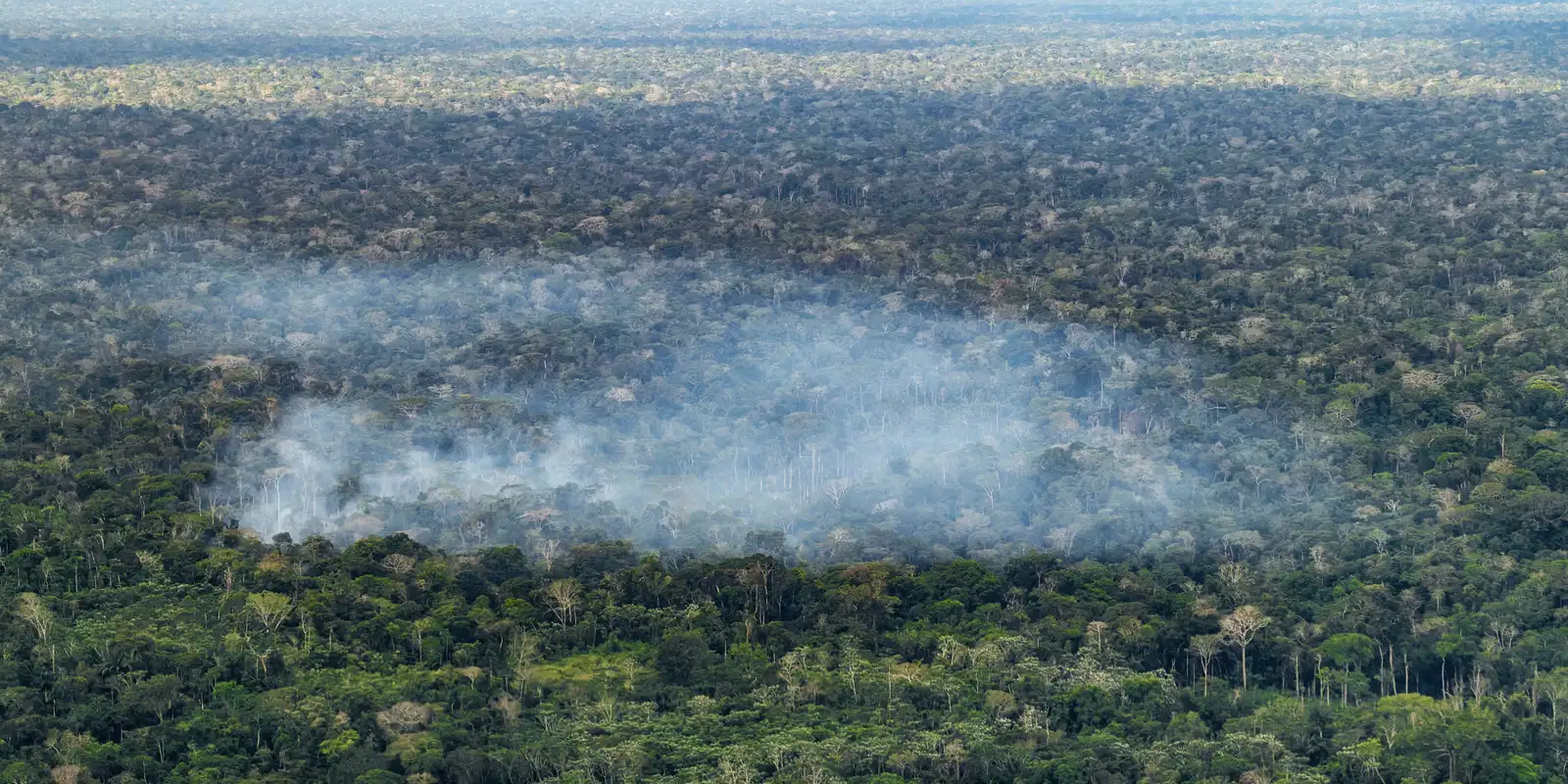 Pesquisadores ligam desmatamento e queimadas a altas emissões na Amazônia