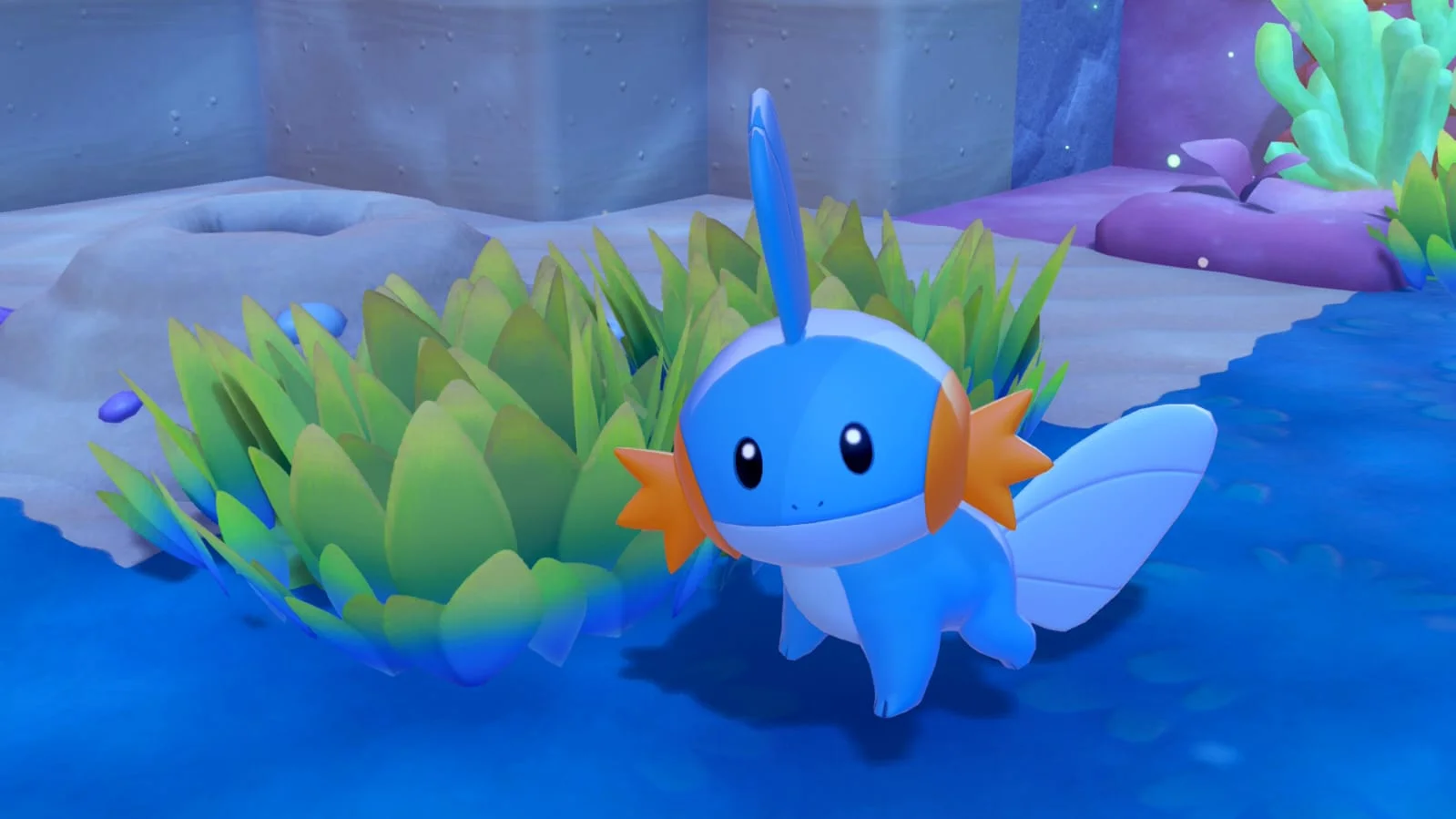 Pokémon Pokopia: Bubble Basin mergulha Cerulean e traz novas criaturas