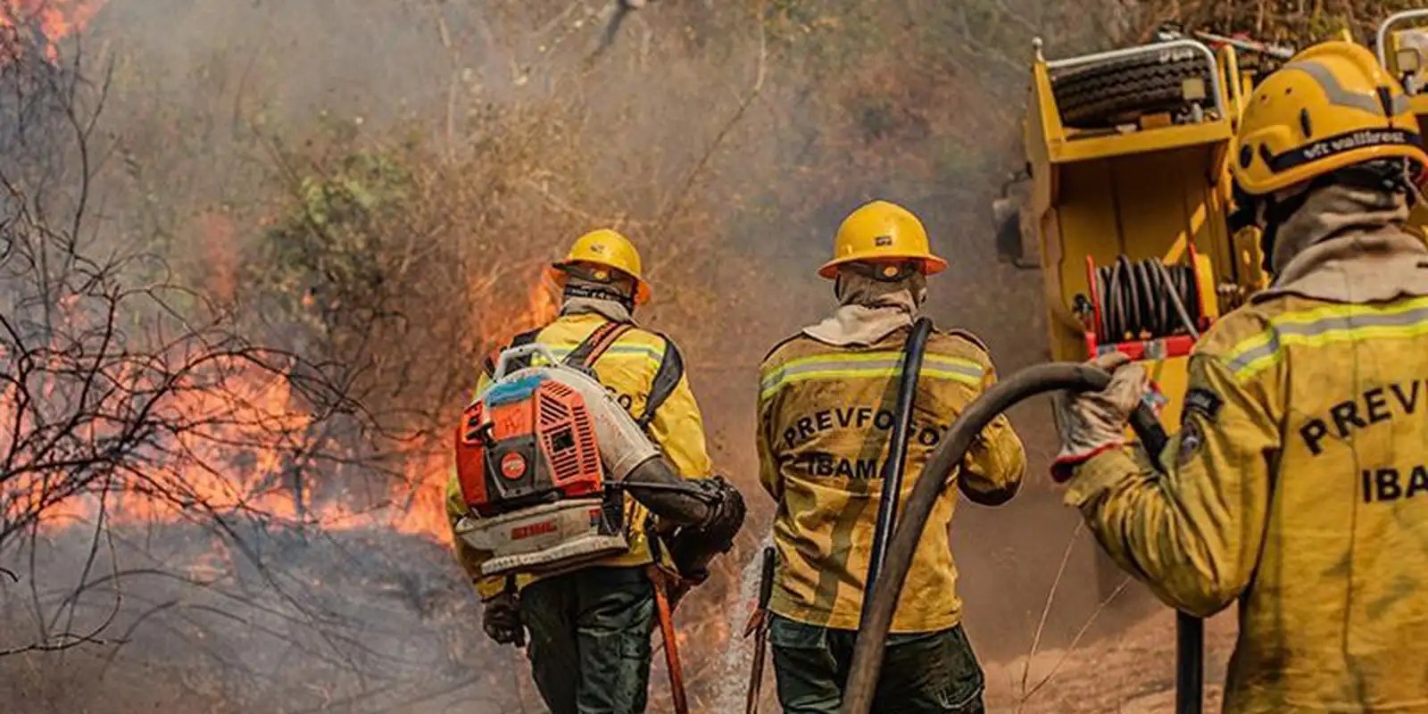 Queimadas disparam no Amazonas; governo mobiliza equipe federal e aviões